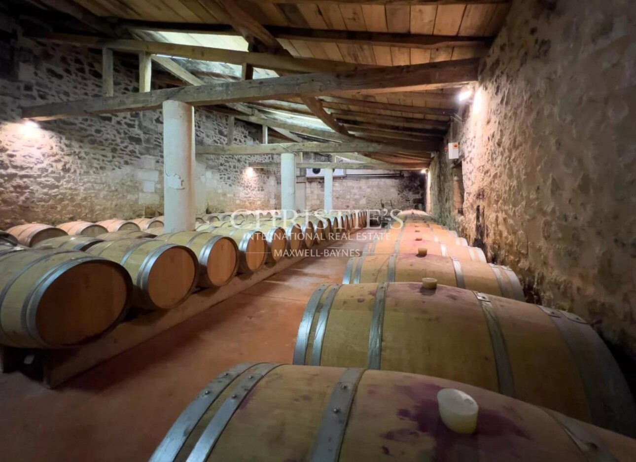 Photos 10 - Viticole - Domaine viticole historique en Fronsac avec un terroir de qualité à proximité de Libourne