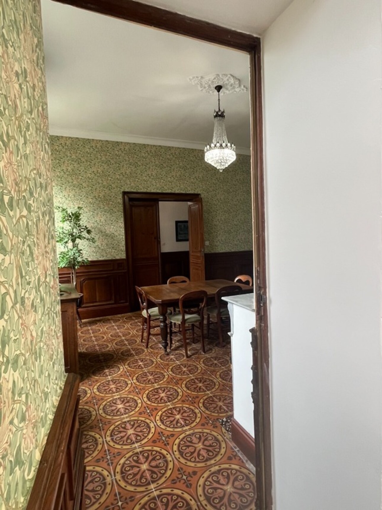Photos 32 - Prestigious - PLAISANCE DU GERS (32), ELEGANT and HISTORIC MANOR HOUSE, outbuildings, garage, 3200m2 enclosed and