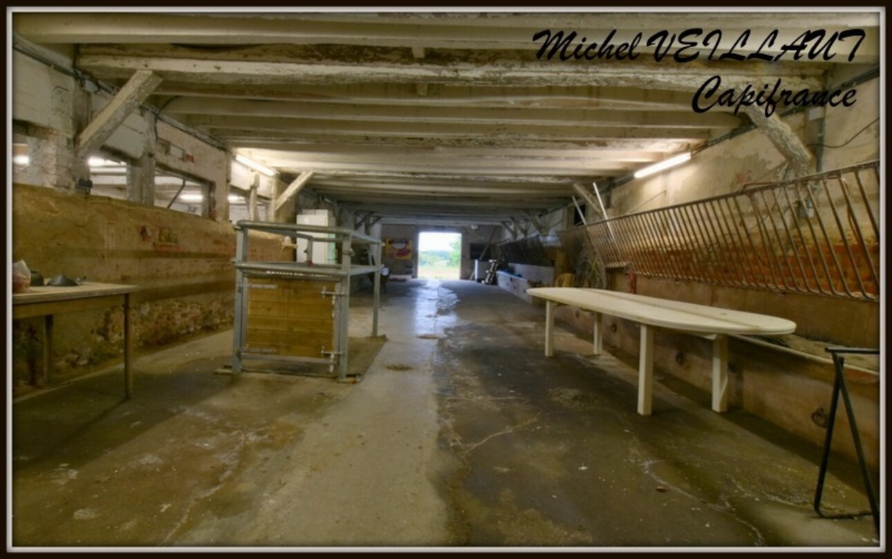 Photos 13 - Équestre - Propriete à vendre maison 7 pièces THIONNE (03), Barn 12 box, Bâtiment agricole, 2 Gîtes, terrain 35174 m²