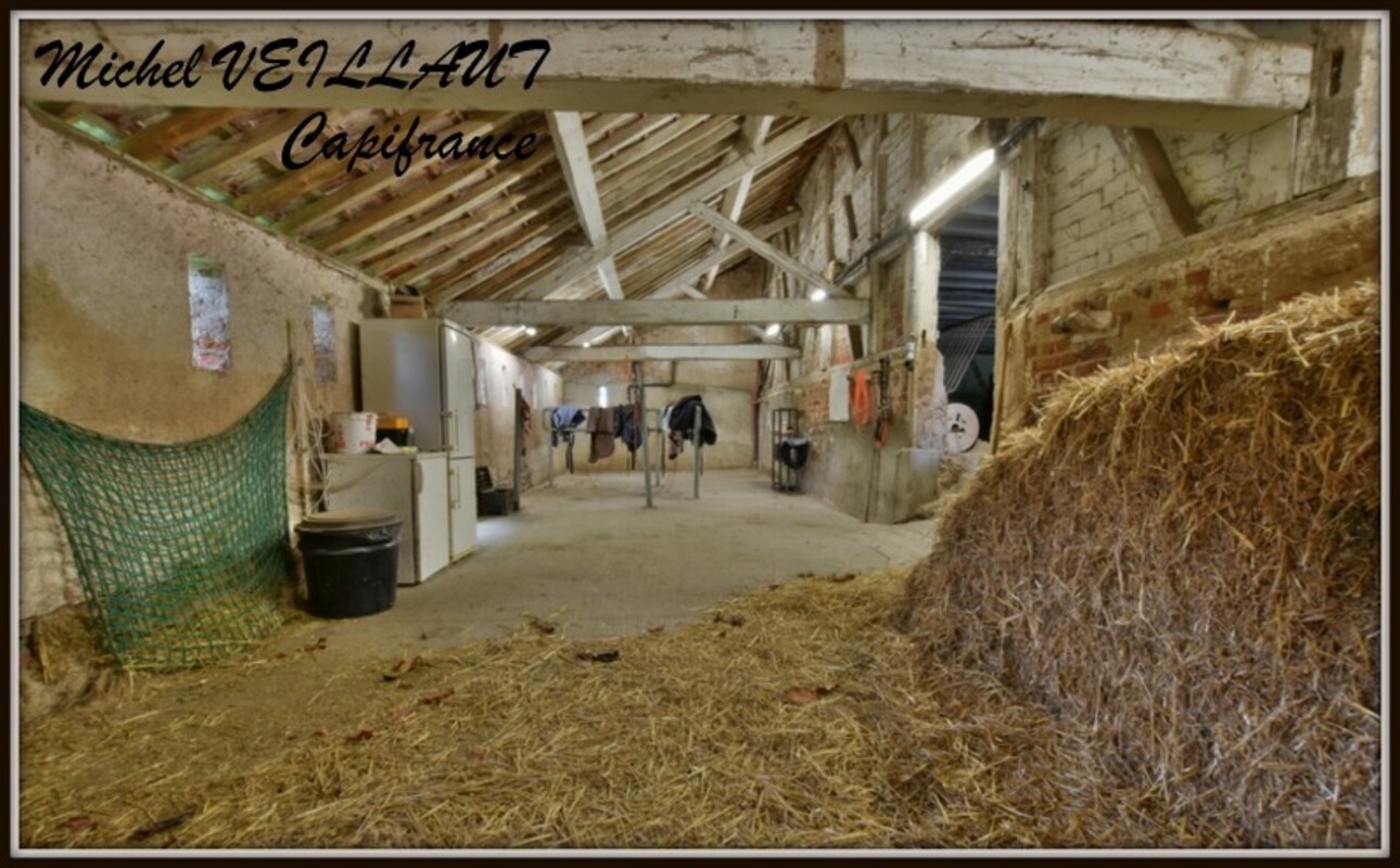 Photos 14 - Équestre - Propriete à vendre maison 7 pièces THIONNE (03), Barn 12 box, Bâtiment agricole, 2 Gîtes, terrain 35174 m²