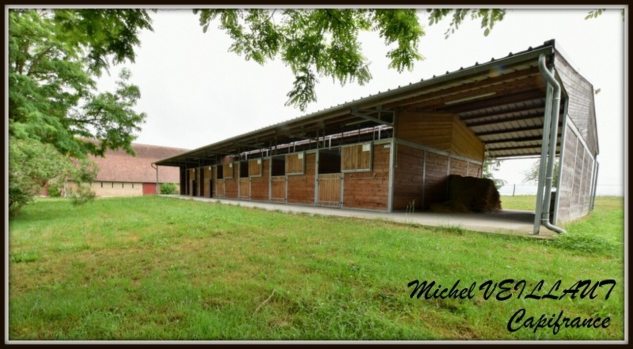 Photos 20 - Équestre - Propriete à vendre maison 7 pièces THIONNE (03), Barn 12 box, Bâtiment agricole, 2 Gîtes, terrain 35174 m²