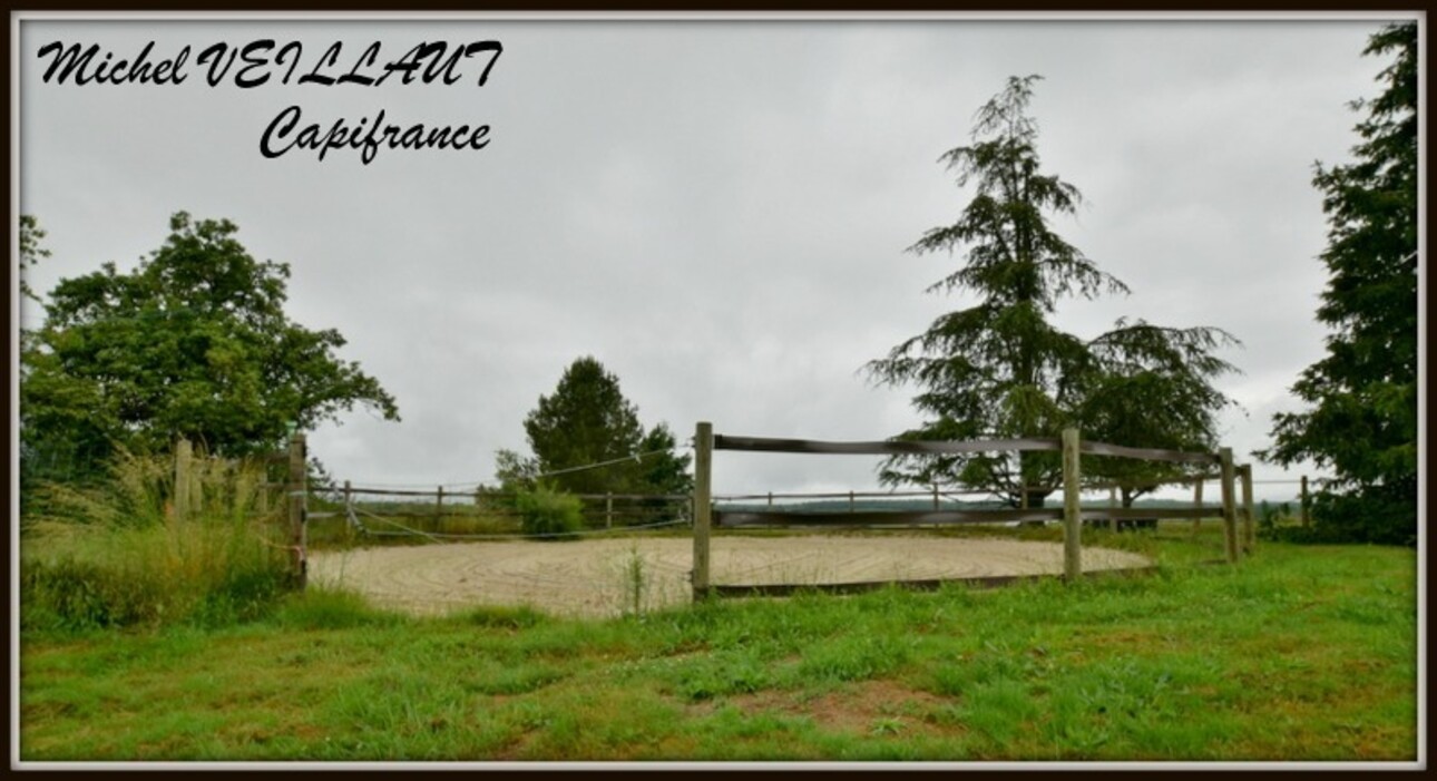 Photos 22 - Équestre - Propriete à vendre maison 7 pièces THIONNE (03), Barn 12 box, Bâtiment agricole, 2 Gîtes, terrain 35174 m²