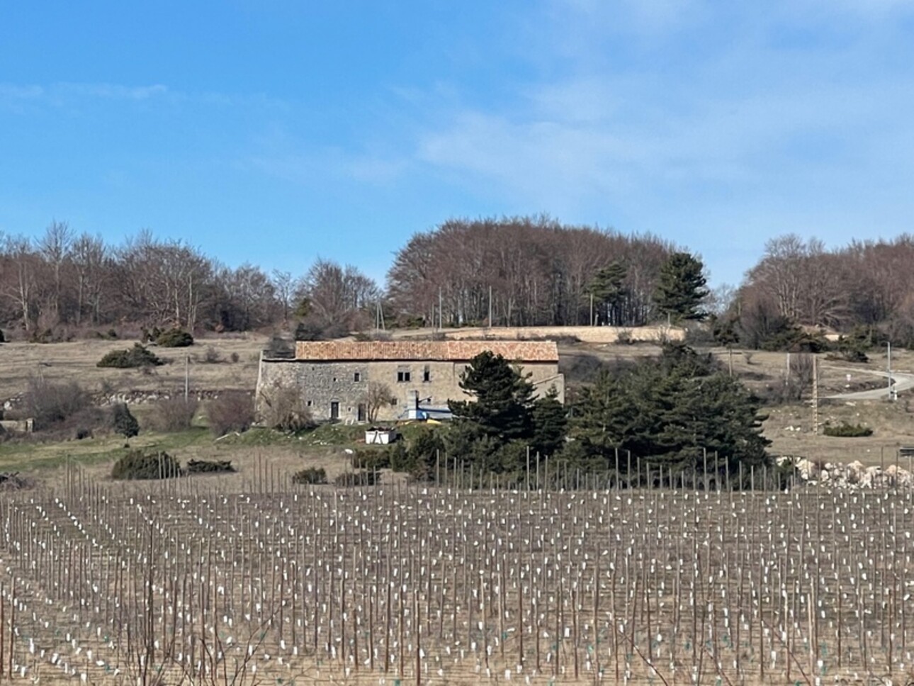 Photos 1 - Prestige - À VENDRE – Château à rénover sur domaine de 100 hectares