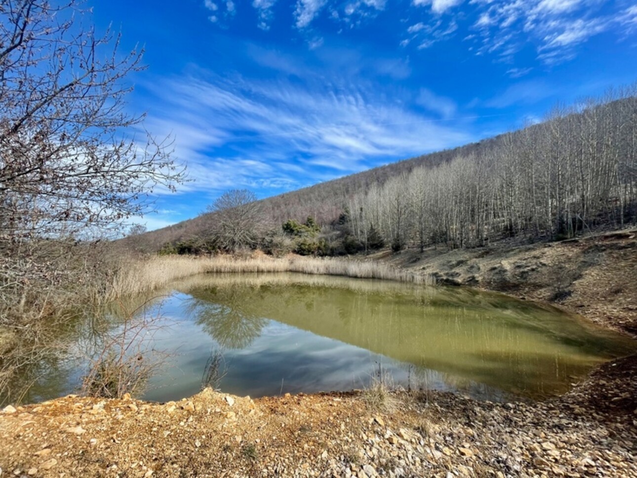 Photos 2 - Prestige - À VENDRE – Château à rénover sur domaine de 100 hectares