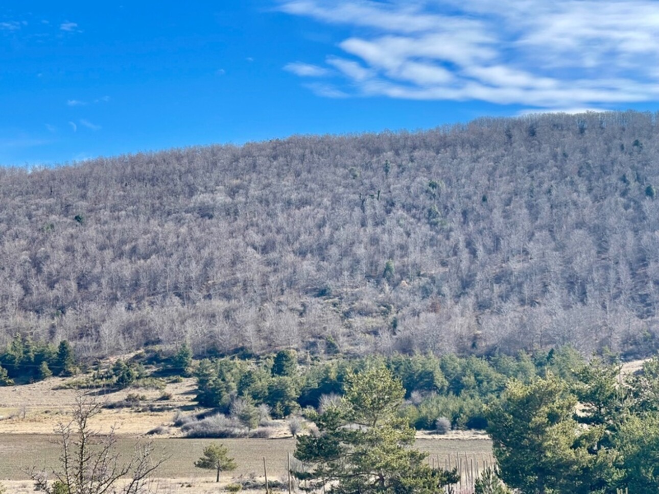 Photos 3 - Prestige - À VENDRE – Château à rénover sur domaine de 100 hectares