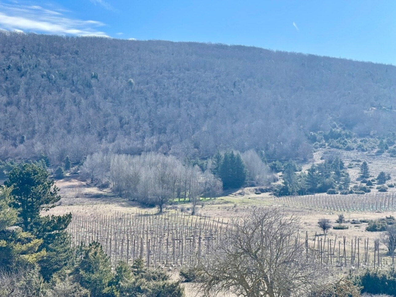 Photos 4 - Prestige - À VENDRE – Château à rénover sur domaine de 100 hectares
