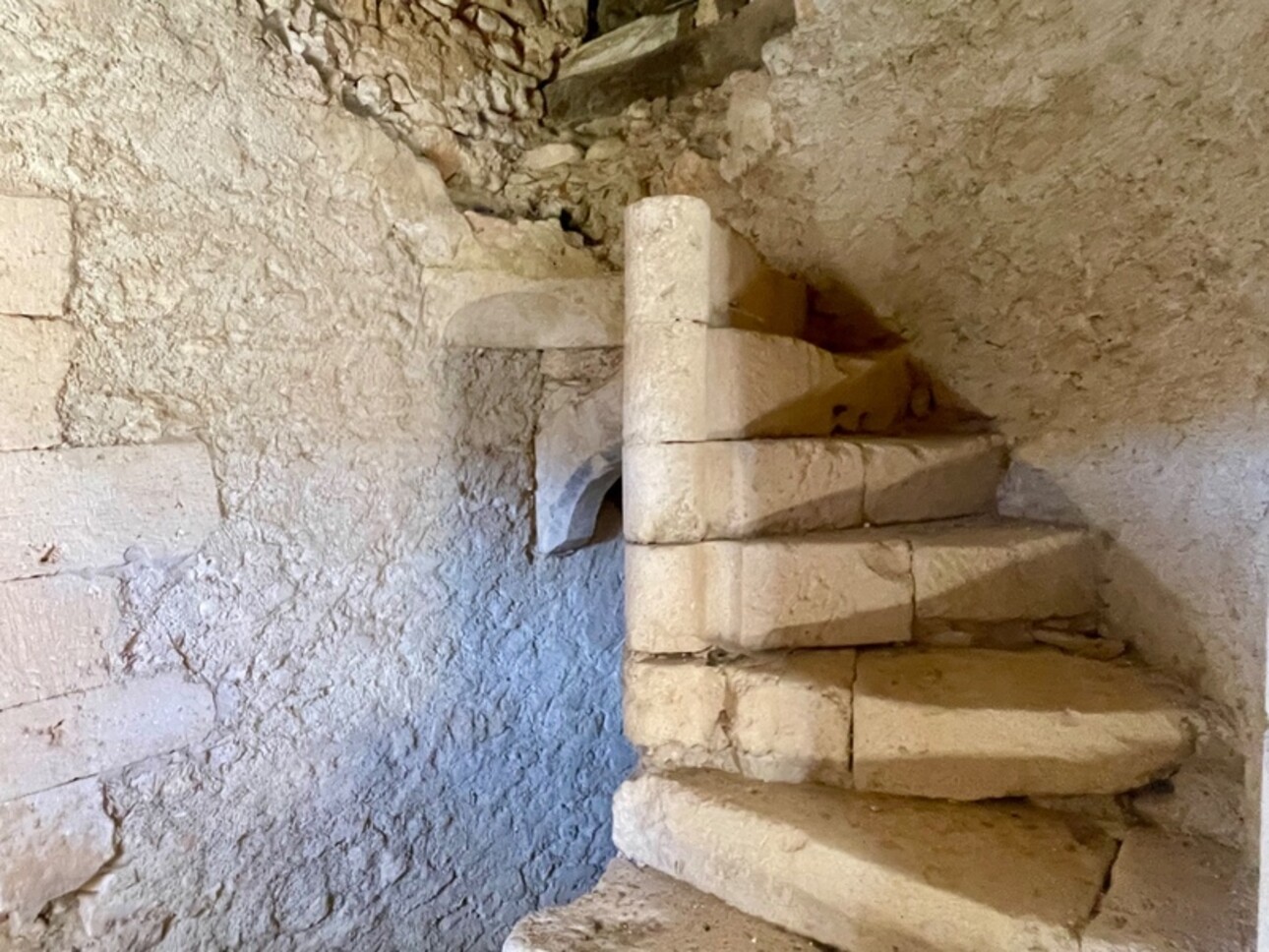 Photos 15 - Prestige - À VENDRE – Château à rénover sur domaine de 100 hectares