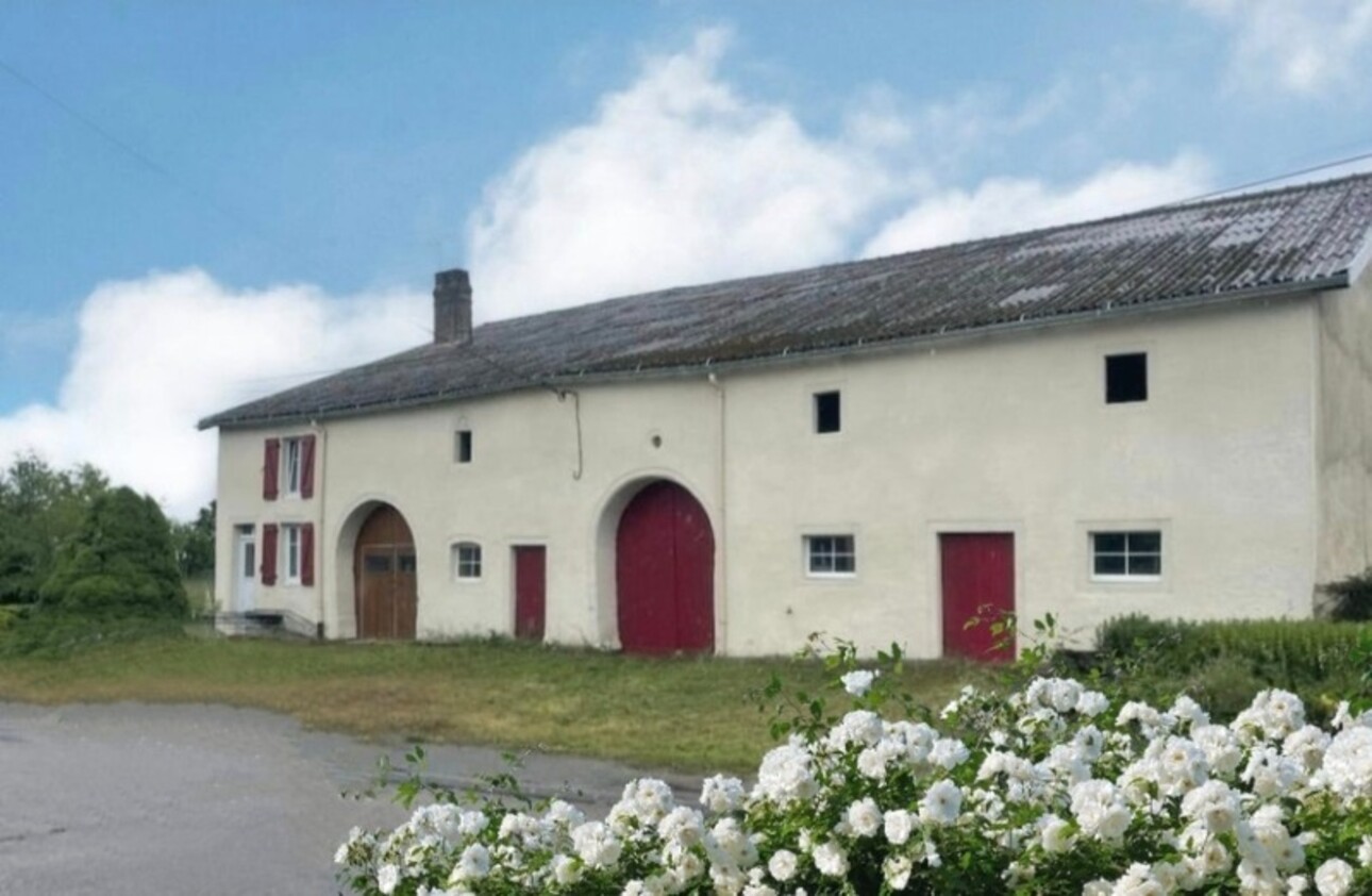 Photos 1 - Tourist - Dpt Vosges (88), for sale near CONTREXEVILLE - FERME LORRAINE T7 on 1.7 hectares of LAND