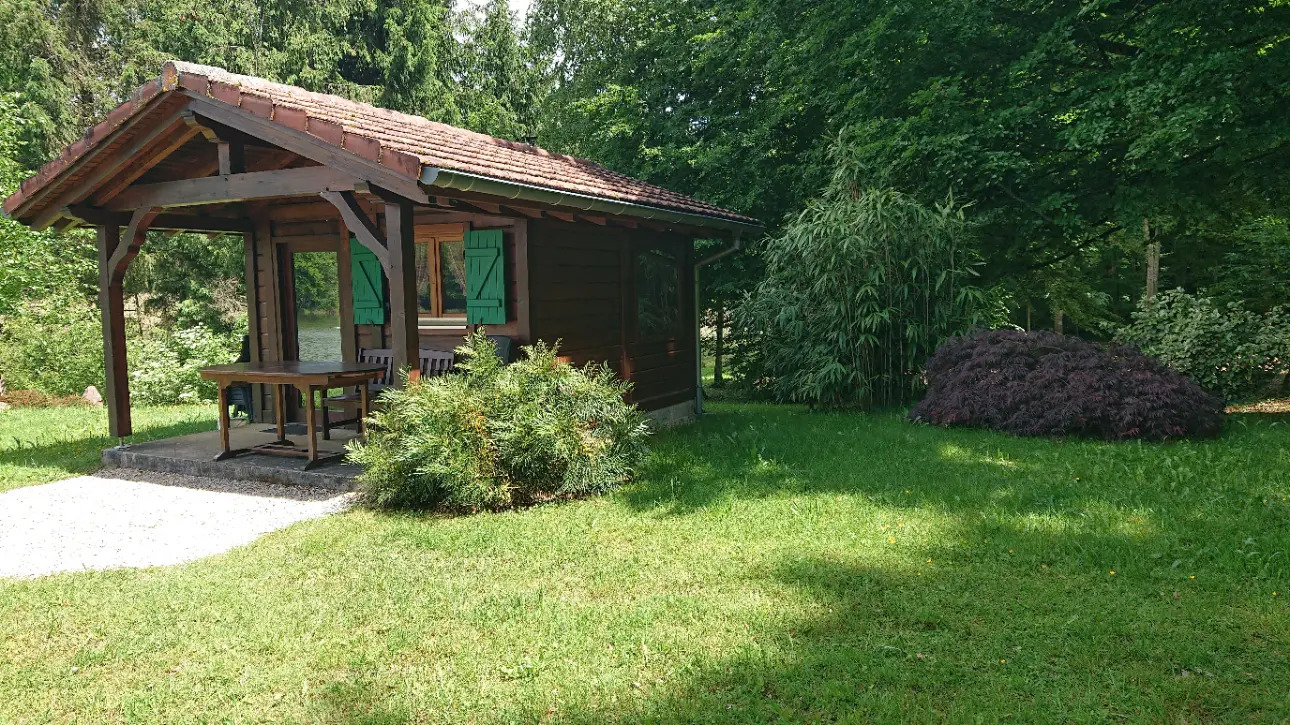 Photos 2 - Foncière - Etang et forêt dans le haut rhin