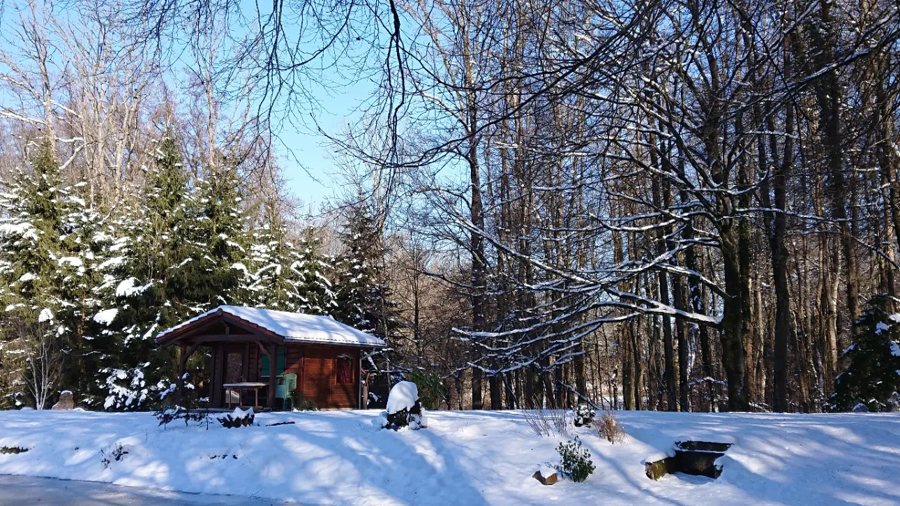 Photos 5 - Foncière - Etang et forêt dans le haut rhin