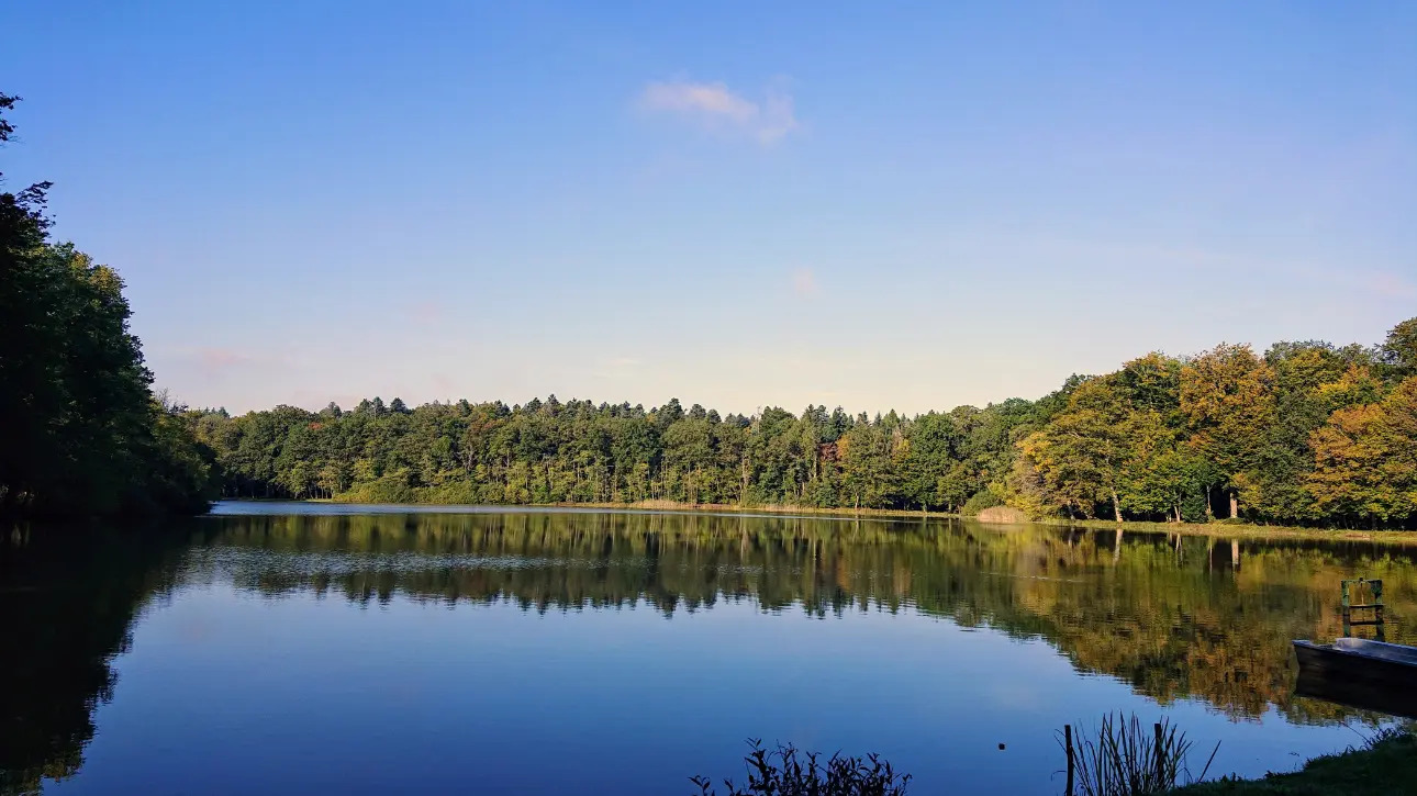 Photos 7 - Foncière - Etang et forêt dans le haut rhin