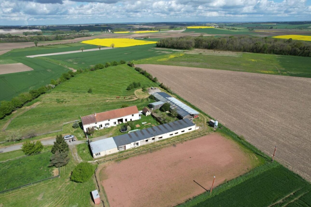 Photos 2 - Équestre - Propriété équestre avec installations complètes et maison r?