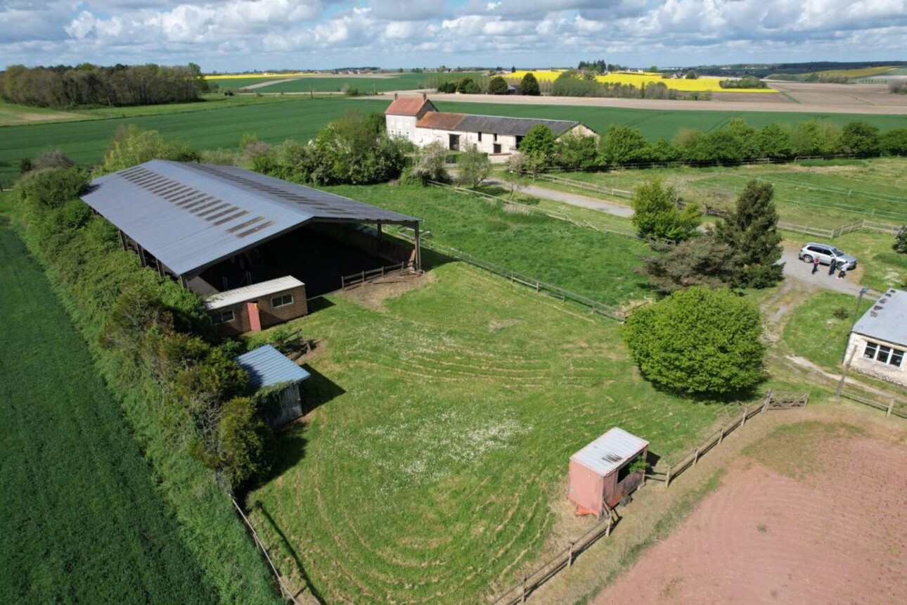 Photos 9 - Équestre - Propriété équestre avec installations complètes et maison r?