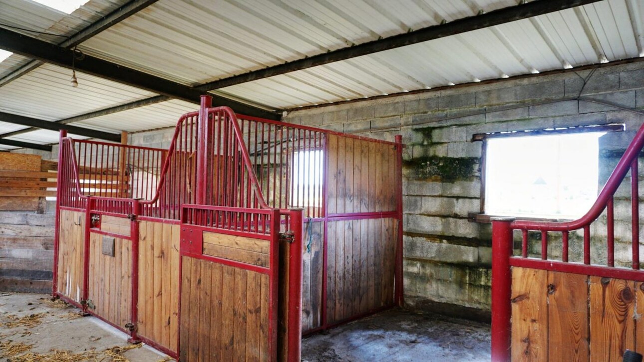 Photos 11 - Équestre - Propriété équestre avec installations complètes et maison r?