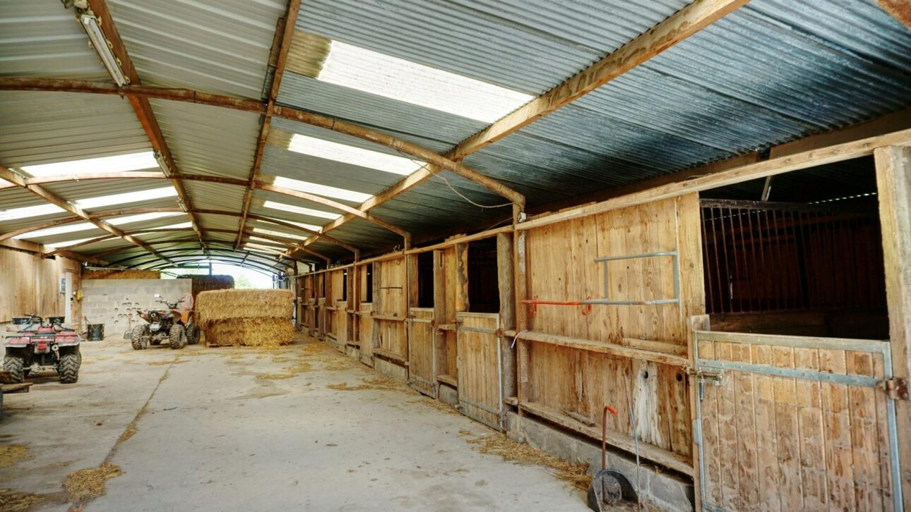 Photos 12 - Équestre - Propriété équestre avec installations complètes et maison r?