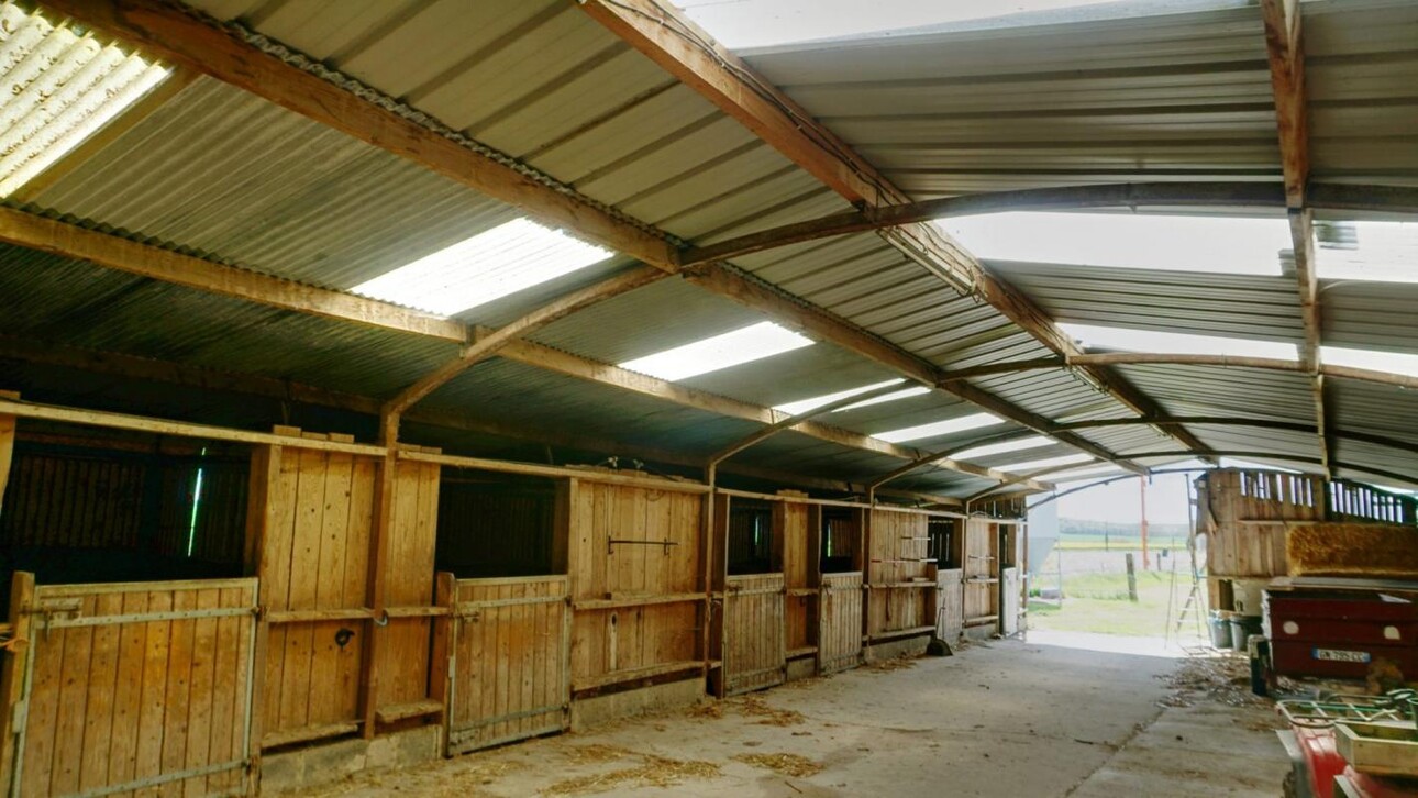 Photos 13 - Équestre - Propriété équestre avec installations complètes et maison r?