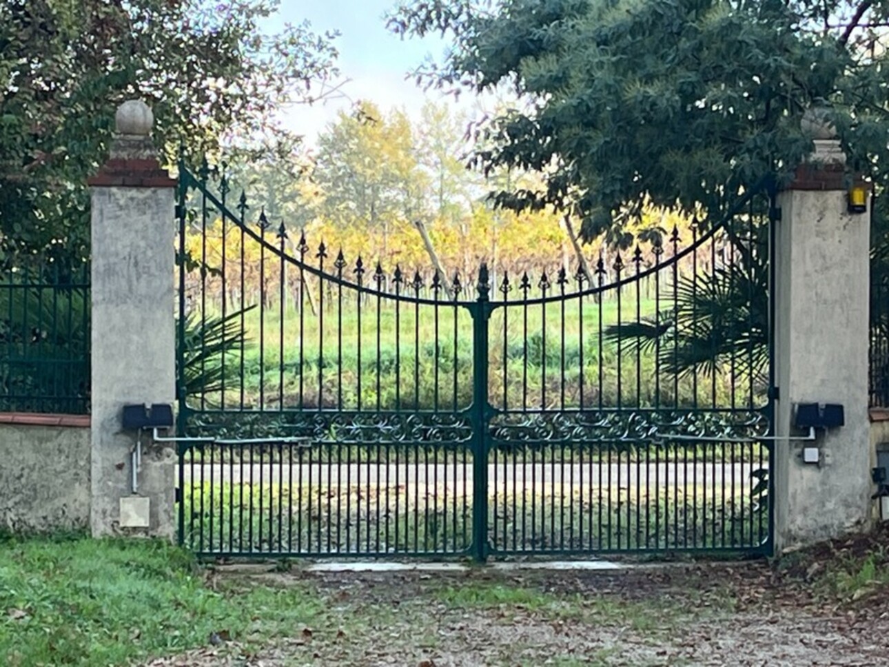 Photos 20 - Prestige - Dpt Gers (32), à vendre NOGARO proche, TRES ELEGANTE PROPRIETE  RURALE  sur 4.5 hectares, MAISON de MAITRE, GITE, deux piscines neuves, parc séculaire, SANS NUISANCE