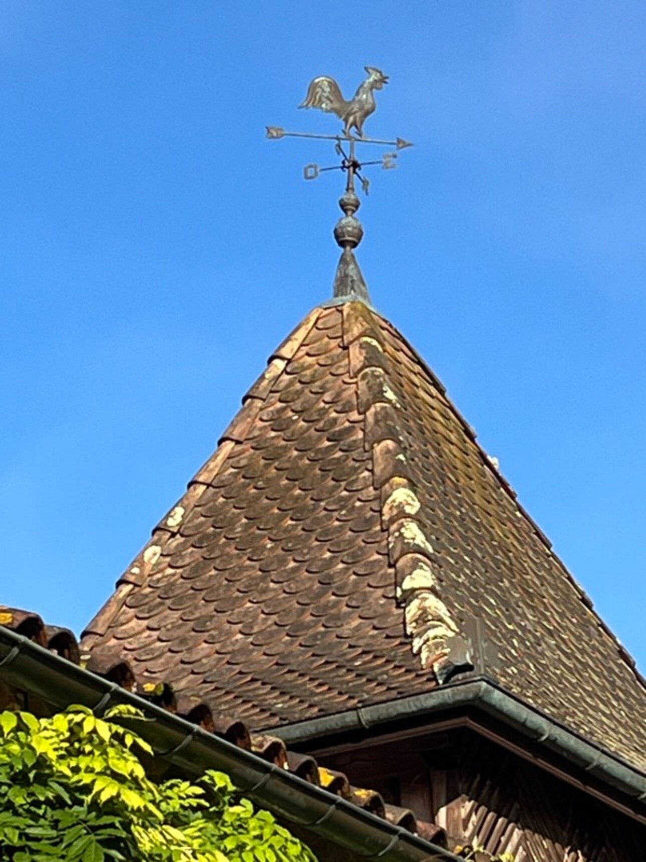 Photos 29 - Prestige - Dpt Gers (32), à vendre NOGARO proche, TRES ELEGANTE PROPRIETE  RURALE  sur 4.5 hectares, MAISON de MAITRE, GITE, deux piscines neuves, parc séculaire, SANS NUISANCE