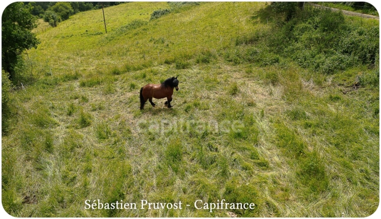 Photos 2 - Prestige - Propriete à vendre 7 pièces CORGNAC SUR L'ISLE (24), 5 chambres, terrain 33600m2, Dépendances 300m2, sans voisins proches