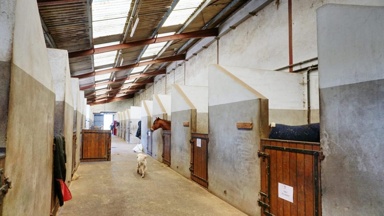 Photos 6 - Équestre - Propriété équestre clé en main sur 3,5 ha dans le Morvan