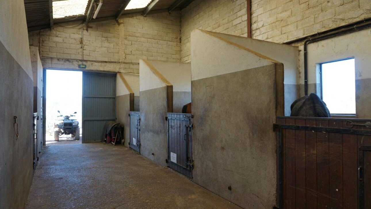 Photos 7 - Équestre - Propriété équestre clé en main sur 3,5 ha dans le Morvan