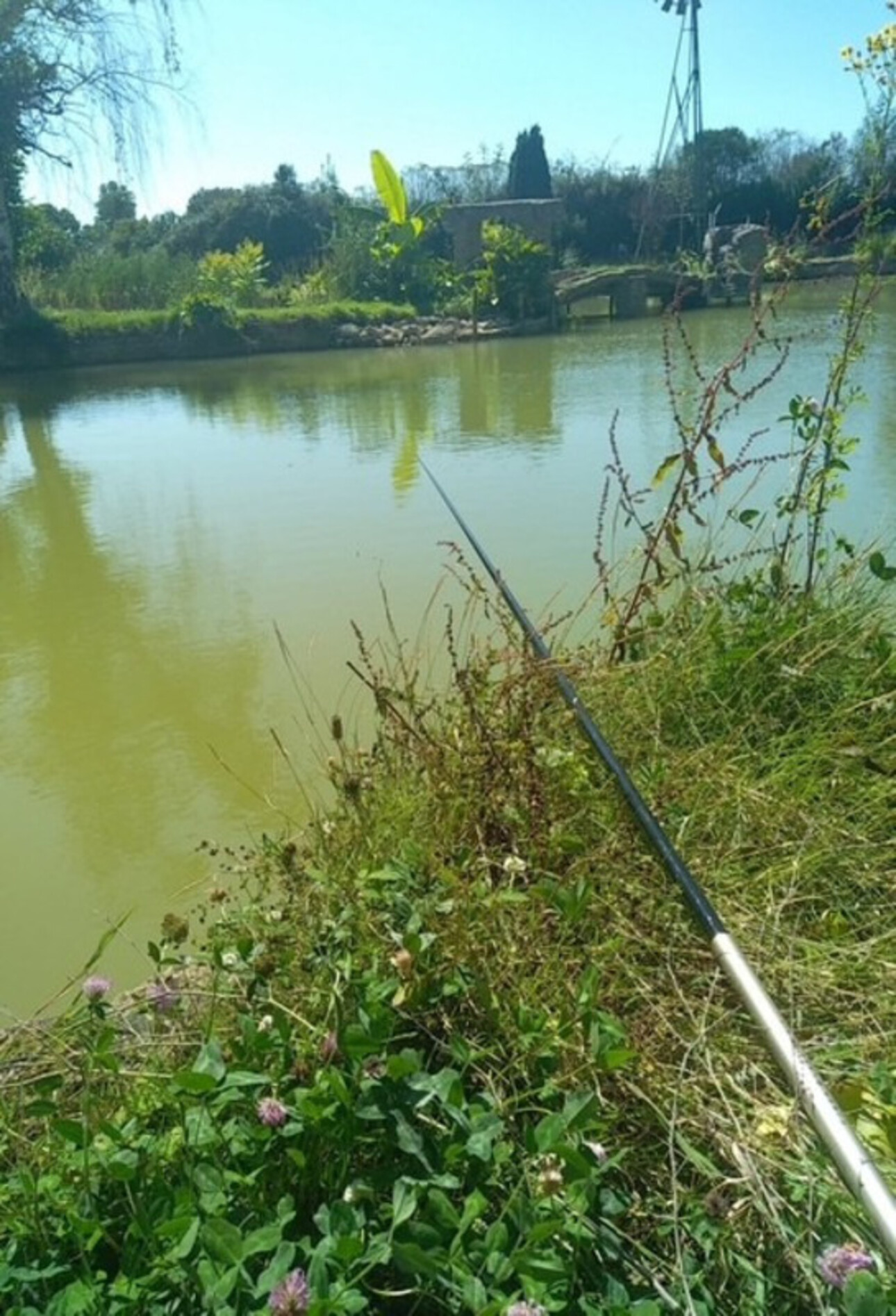 Photos 1 - Forestière - Dpt Maine et Loire (49), à vendre proche de SEICHES SUR LE LOIR, Terrain de loisirs avec son étang