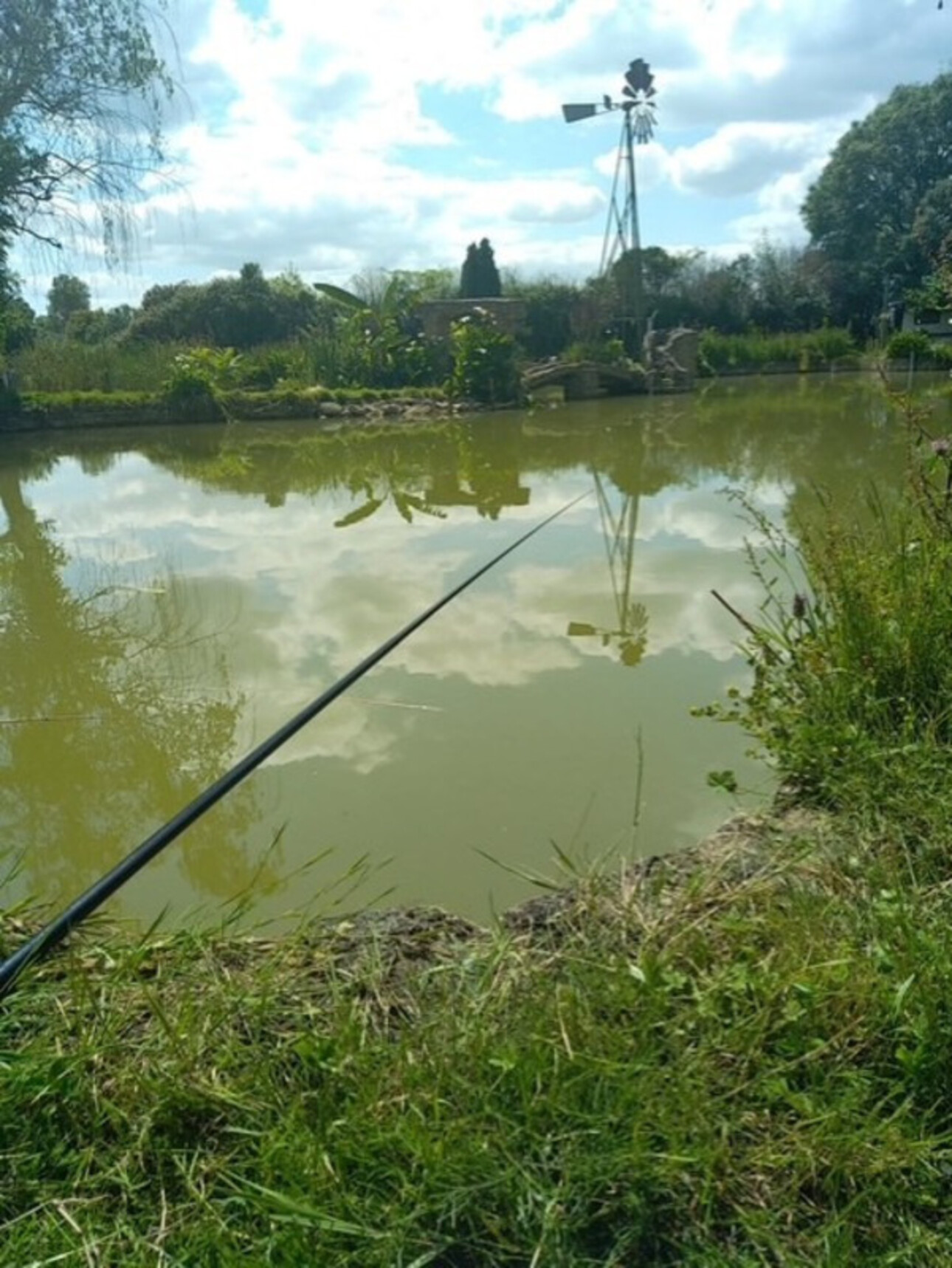 Photos 2 - Forestière - Dpt Maine et Loire (49), à vendre proche de SEICHES SUR LE LOIR, Terrain de loisirs avec son étang
