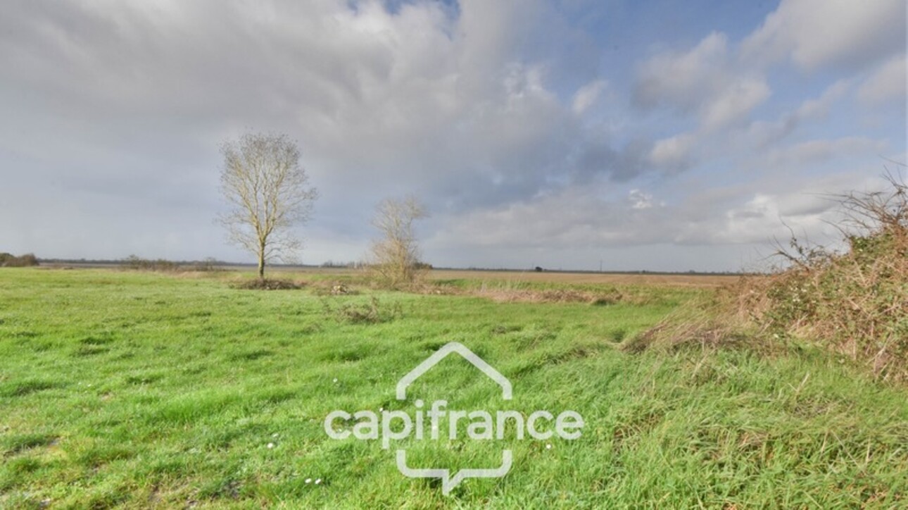 Photos 11 - Touristique - Dpt Charente Maritime (17), à vendre NUAILLE D'AUNIS, ensemble immobilier, d'une surface de 591,64 m2, le tout sur une parcelle cadastrée de 4710 m2