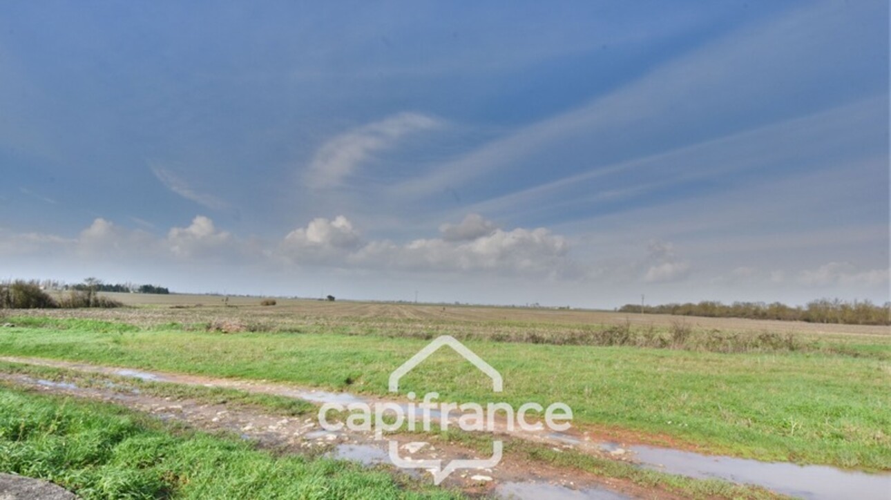 Photos 13 - Touristique - Dpt Charente Maritime (17), à vendre NUAILLE D'AUNIS, ensemble immobilier, d'une surface de 591,64 m2, le tout sur une parcelle cadastrée de 4710 m2