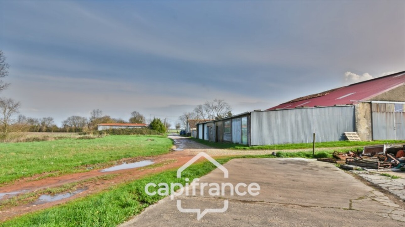 Photos 20 - Touristique - Dpt Charente Maritime (17), à vendre NUAILLE D'AUNIS, ensemble immobilier, d'une surface de 591,64 m2, le tout sur une parcelle cadastrée de 4710 m2