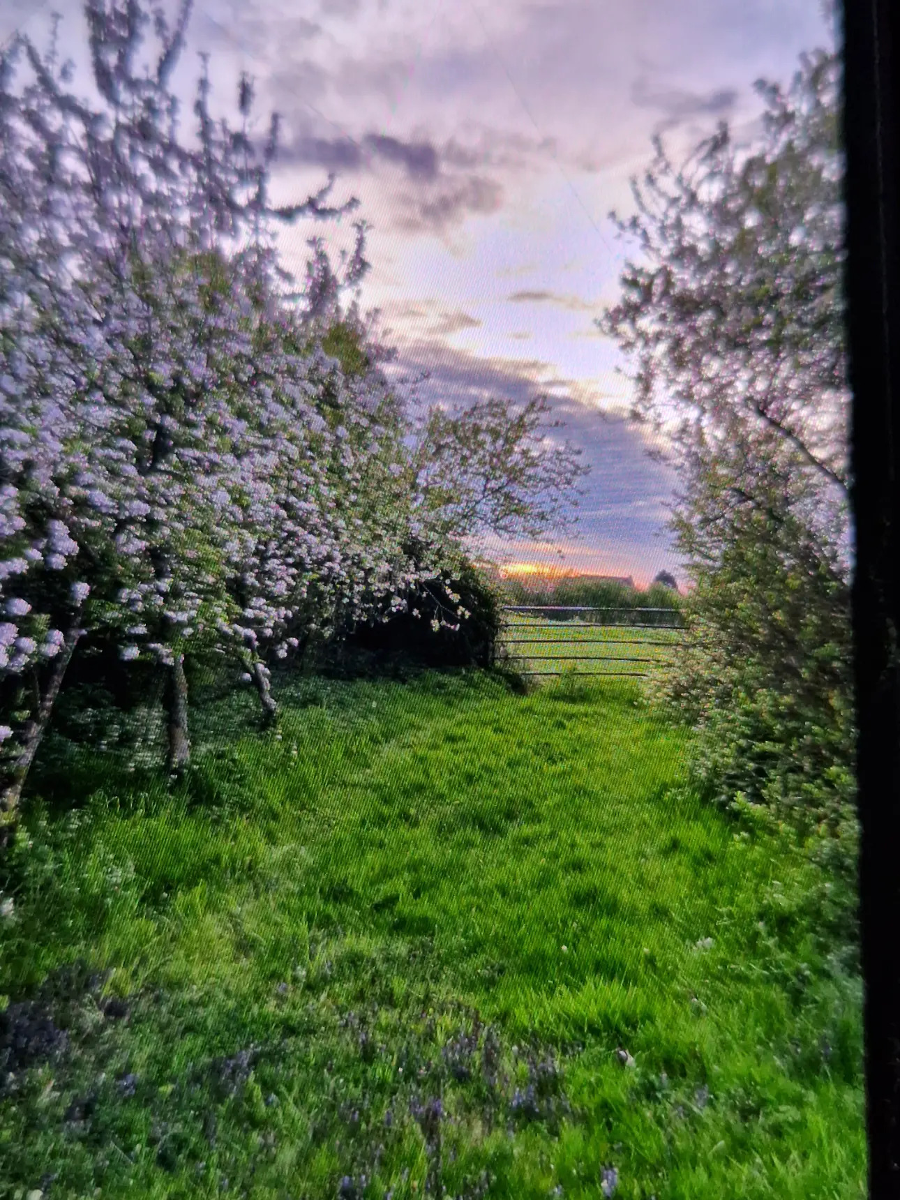 Photos 1 - Touristique - Propriété sur plus de 4 Hectares 60 a 93 ca idéal Chevaux  ou gites - Hauts de France