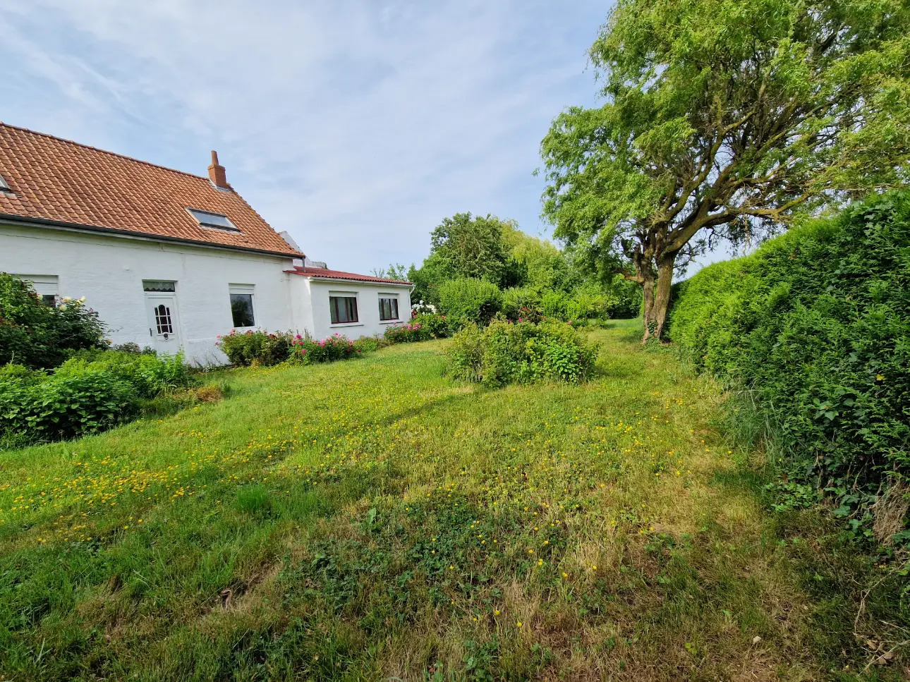 Photos 2 - Touristique - Propriété sur plus de 4 Hectares 60 a 93 ca idéal Chevaux  ou gites - Hauts de France