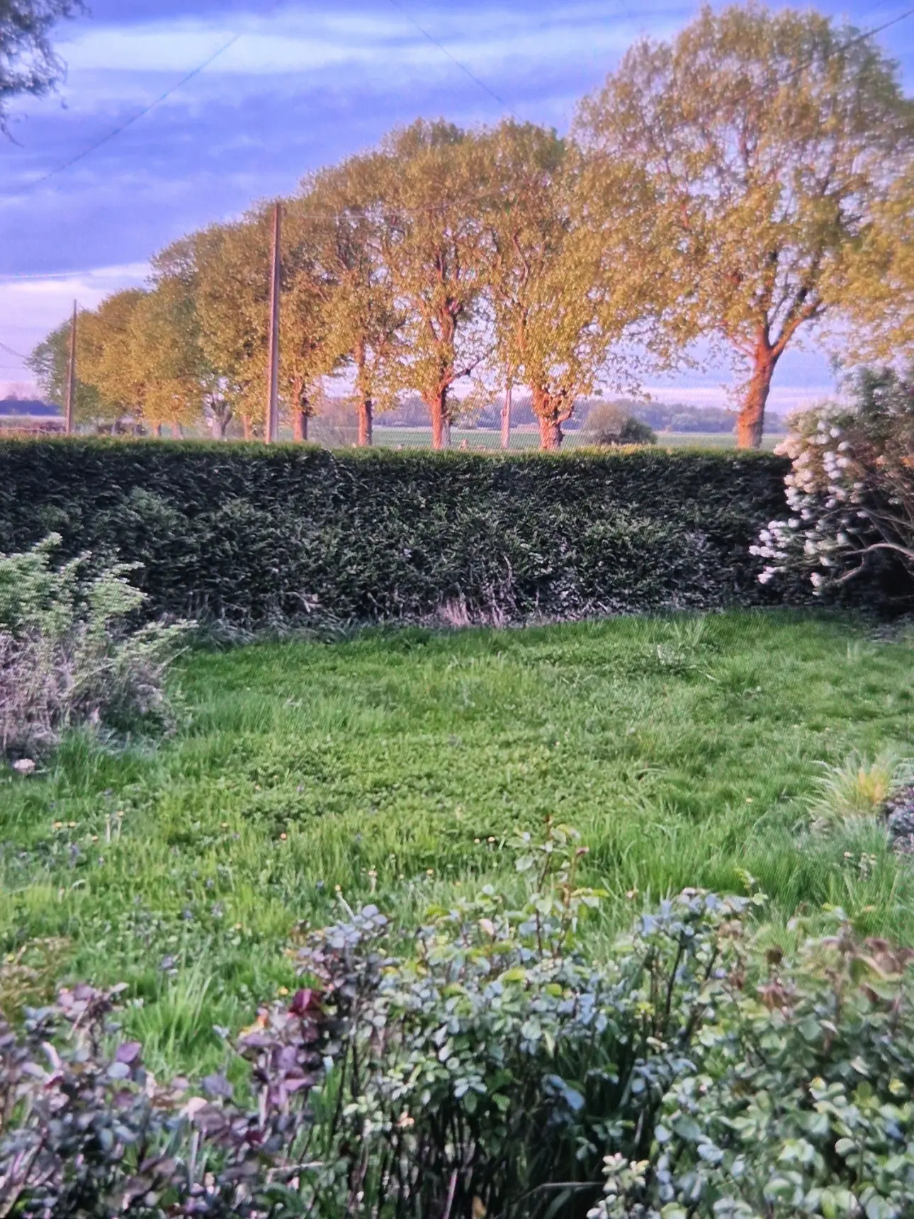 Photos 9 - Touristique - Propriété sur plus de 4 Hectares 60 a 93 ca idéal Chevaux  ou gites - Hauts de France
