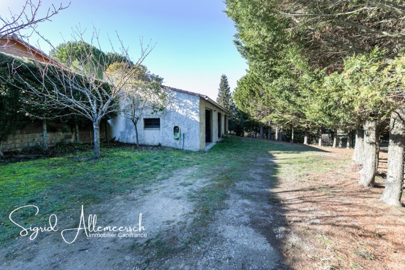 Photos 19 - Prestige - AUDE, En périphérie de Carcassonne, maison 390m² sur parc clos possibilité gîte