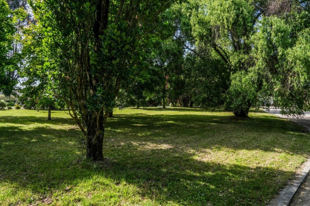 Photos 29 - Prestige - Propriété de Caractère et de charme proche de MONT DE MARSAN (40) - 430 M2 Habitables - Terrain 9000m2 environ