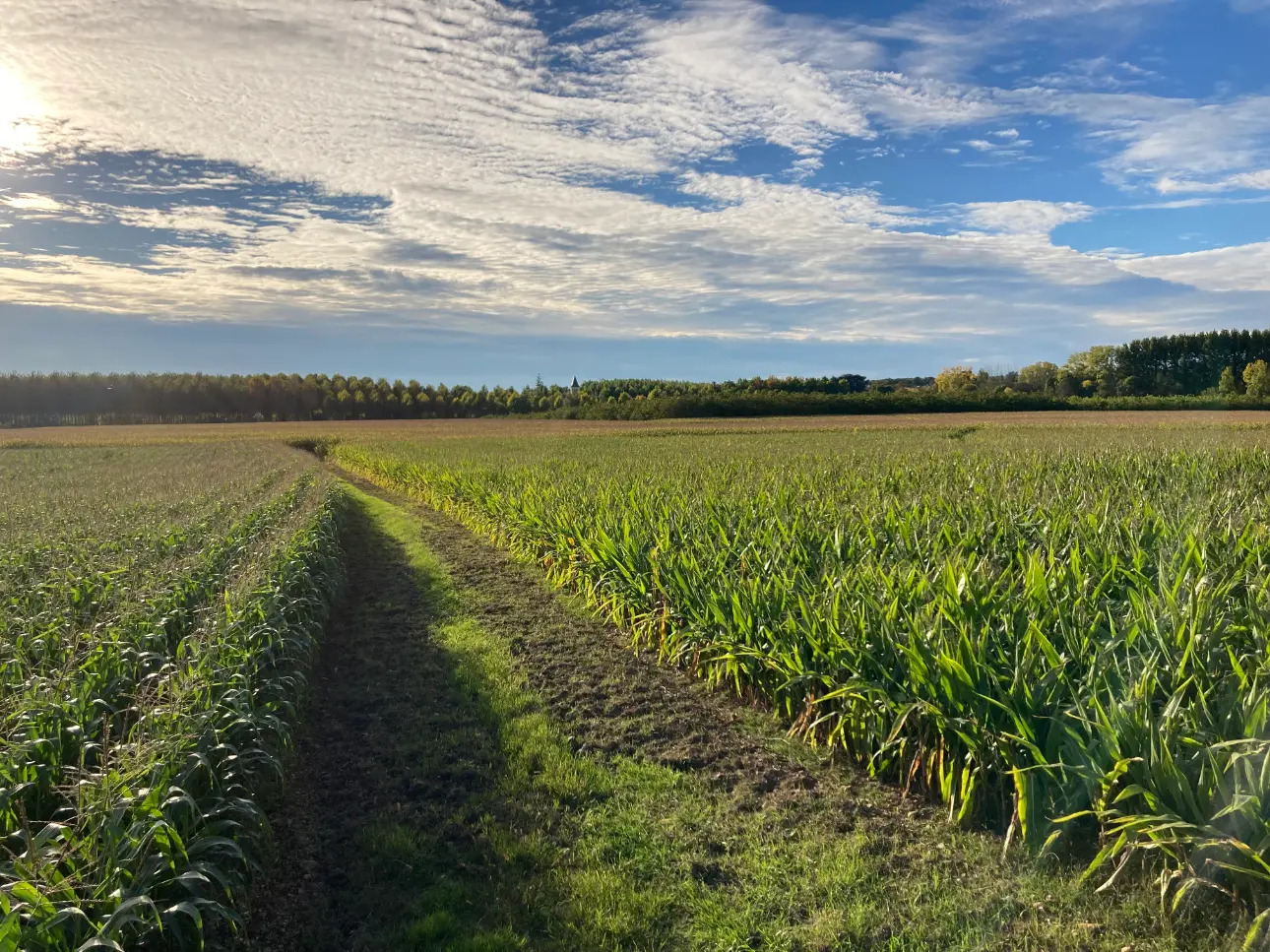 Photos 3 - Agricole - Exploitation agricole de 75ha dont 70ha de terres de vallées (avec irrigation) en Dordogne (24)