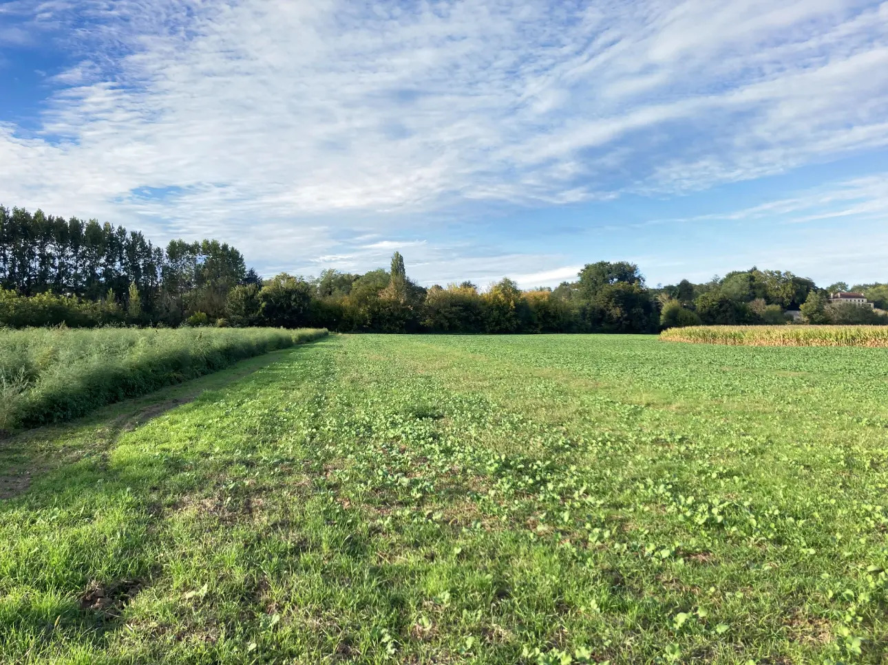 Photos 4 - Agricole - Exploitation agricole de 75ha dont 70ha de terres de vallées (avec irrigation) en Dordogne (24)
