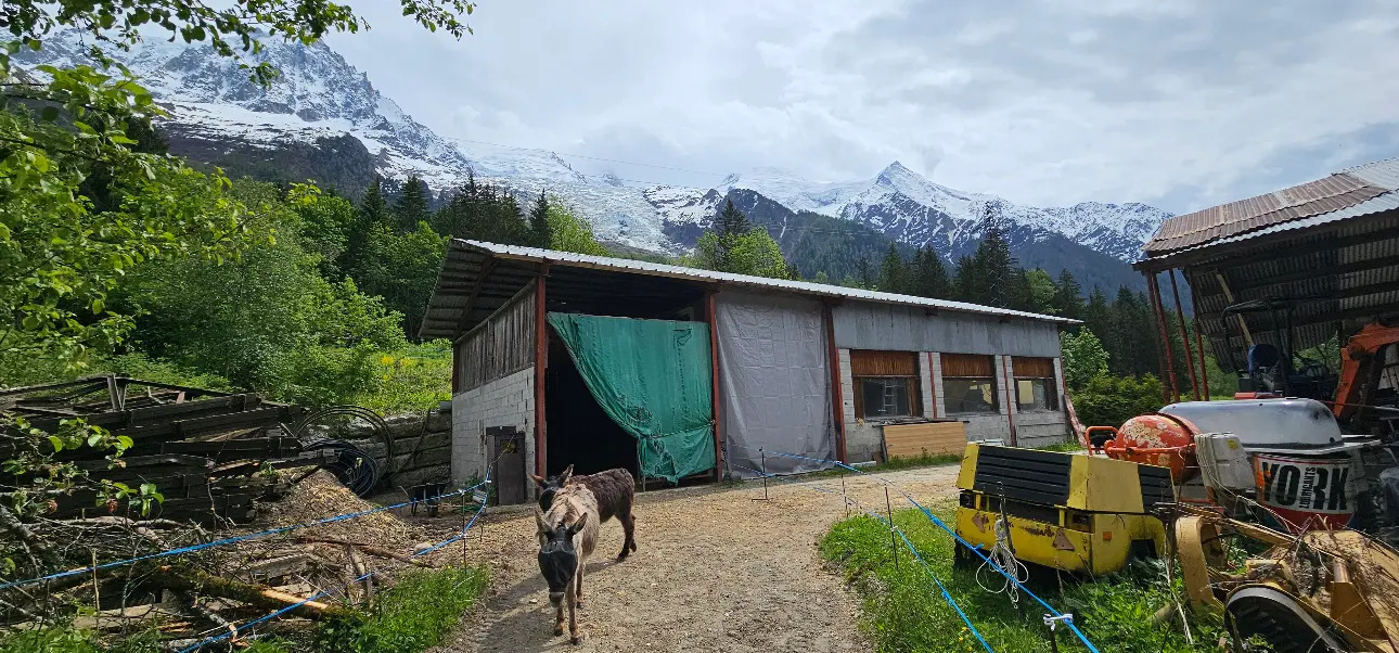 Photos 3 - Équestre - Futur gîte rural ou équestre à Chamonix-Mont-Blanc
