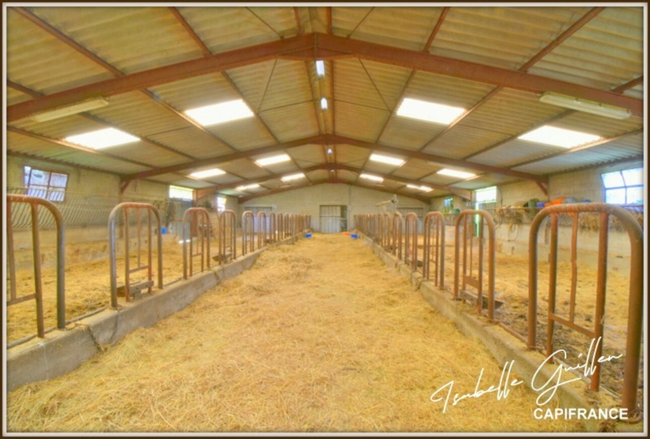 Photos 21 - Prestige - Proprieté à vendre 2 pièces SAINT CHRISTOPHE EN BOUCHERIE (36)