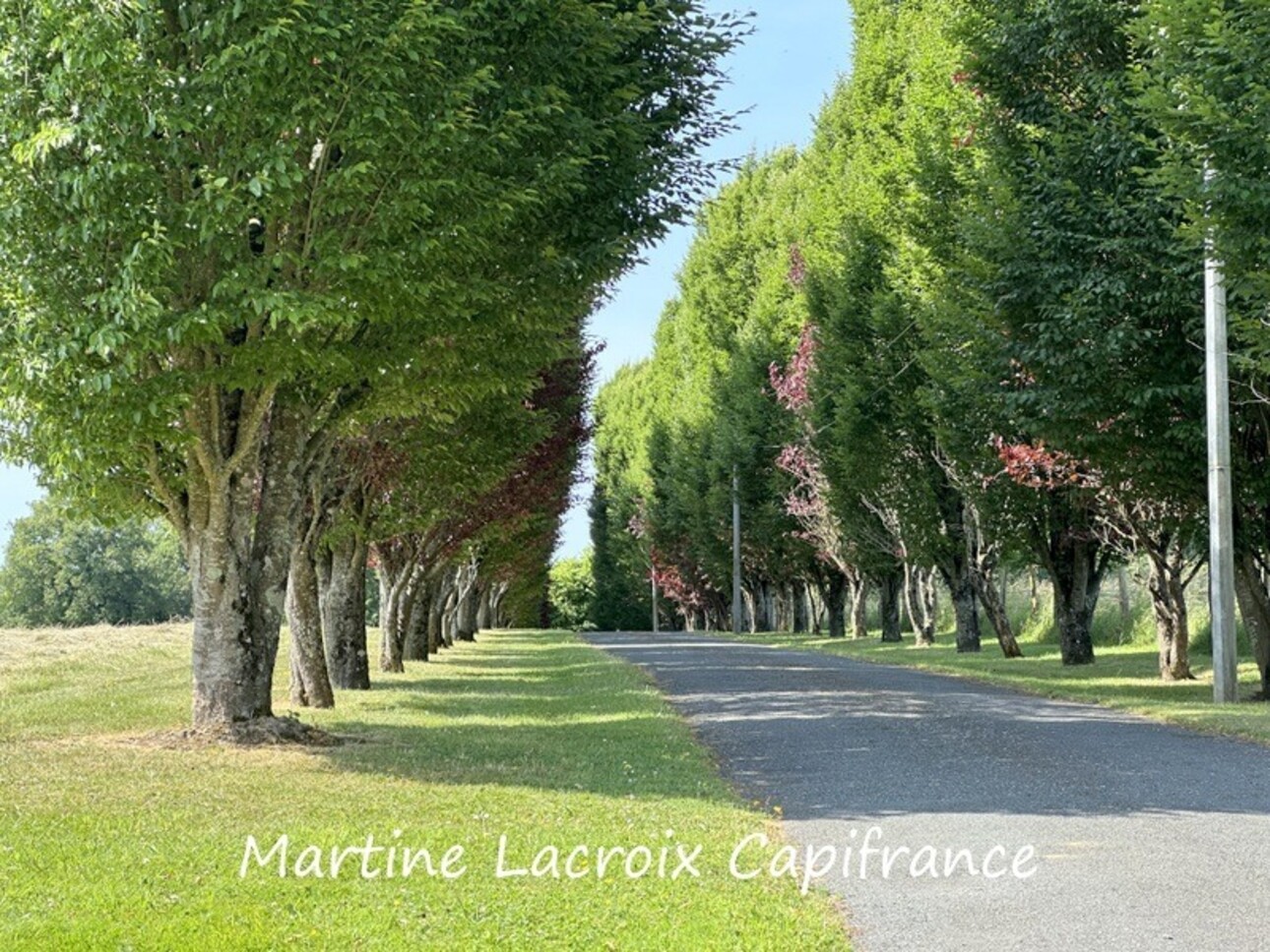 Photos 6 - Prestige - Dpt SARTHE (72), à vendre proche de LA FERTE BERNARD - PROPRIÉTÉ  P8 de 226 m² - Terrain de 2,50 Ha
