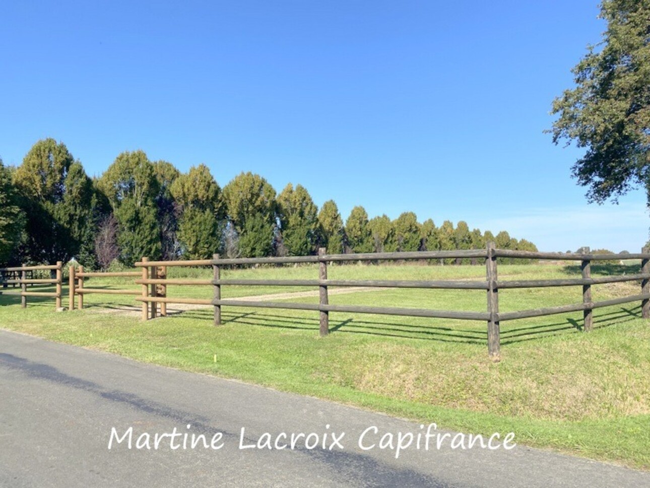 Photos 22 - Prestige - Dpt SARTHE (72), à vendre proche de LA FERTE BERNARD - PROPRIÉTÉ  P8 de 226 m² - Terrain de 2,50 Ha