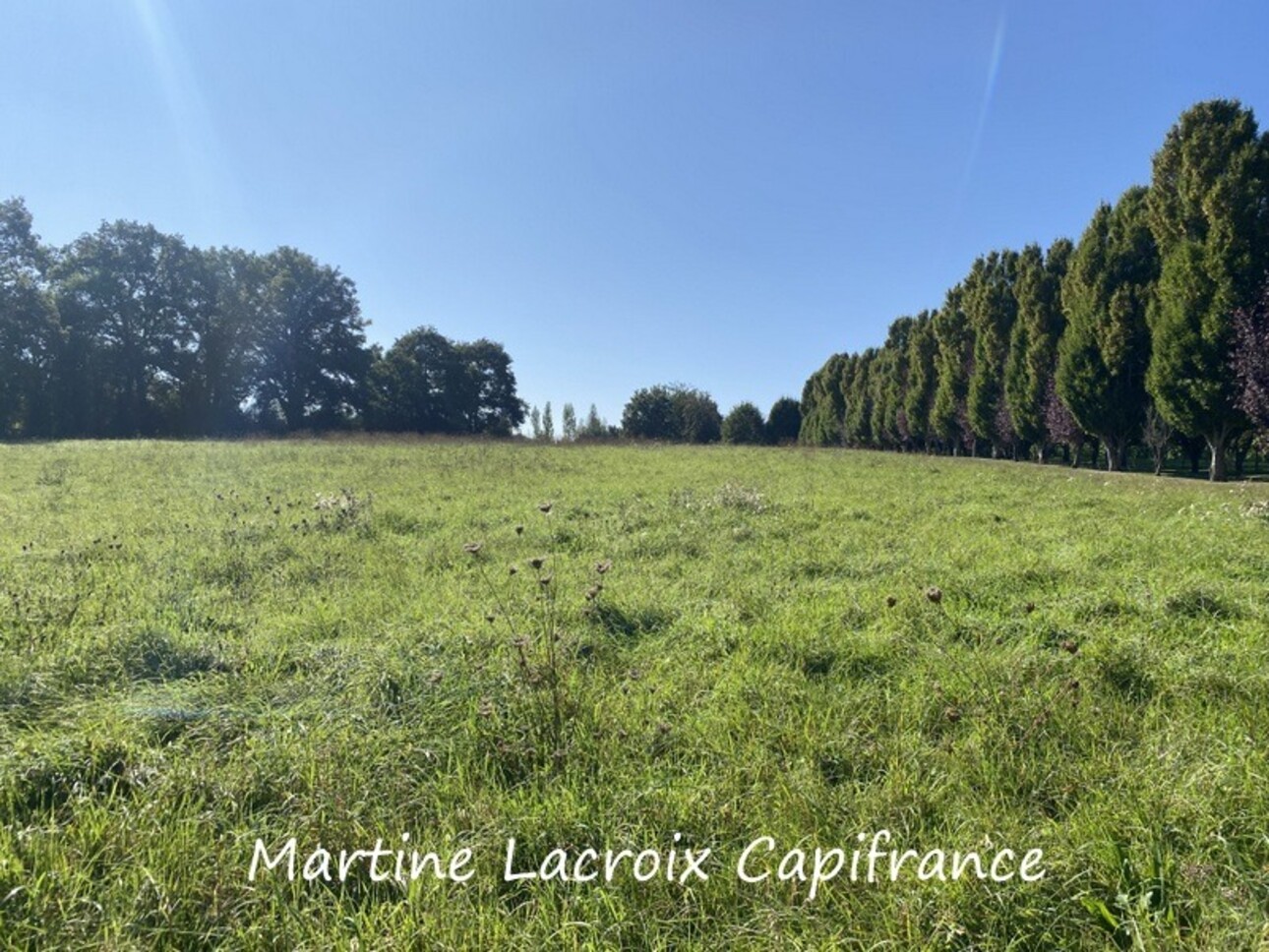 Photos 38 - Prestige - Dpt SARTHE (72), à vendre proche de LA FERTE BERNARD - PROPRIÉTÉ  P8 de 226 m² - Terrain de 2,50 Ha