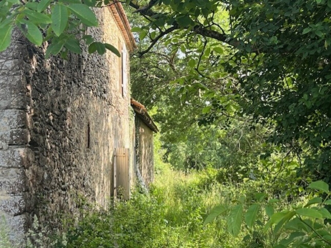 Photos 33 - Prestige - PLAISANCE DU GERS-MARCIAC, AUTHENTIQUE PROPRIETE RURALE 2 hecataressans voisin, sans vis à vis, un peu cachée et pourtant avec une jolie vue sur coteaux gascons