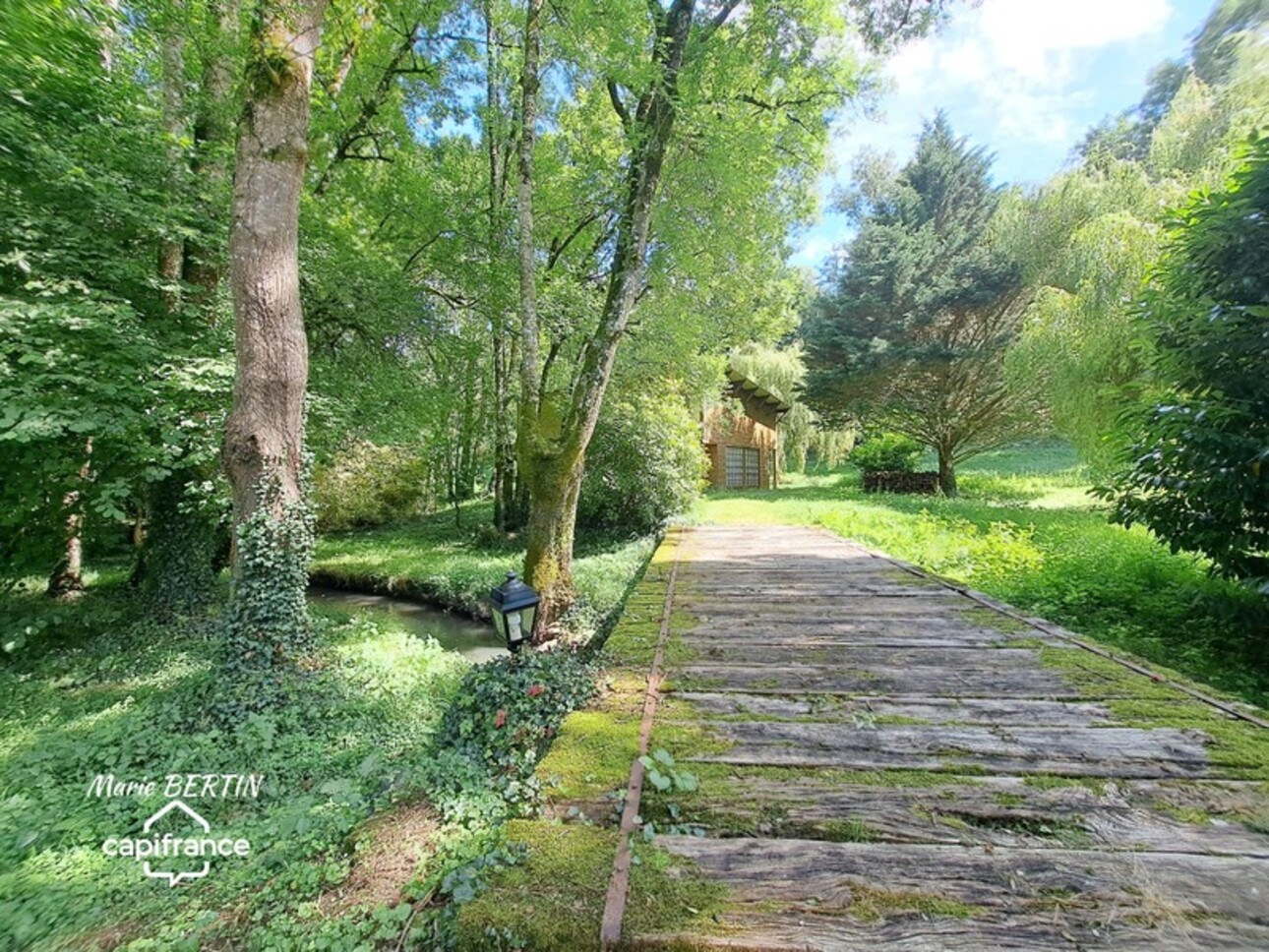 Photos 3 - Prestige - Propriété à vendre 11 pièces CELLES SUR BELLE (79)