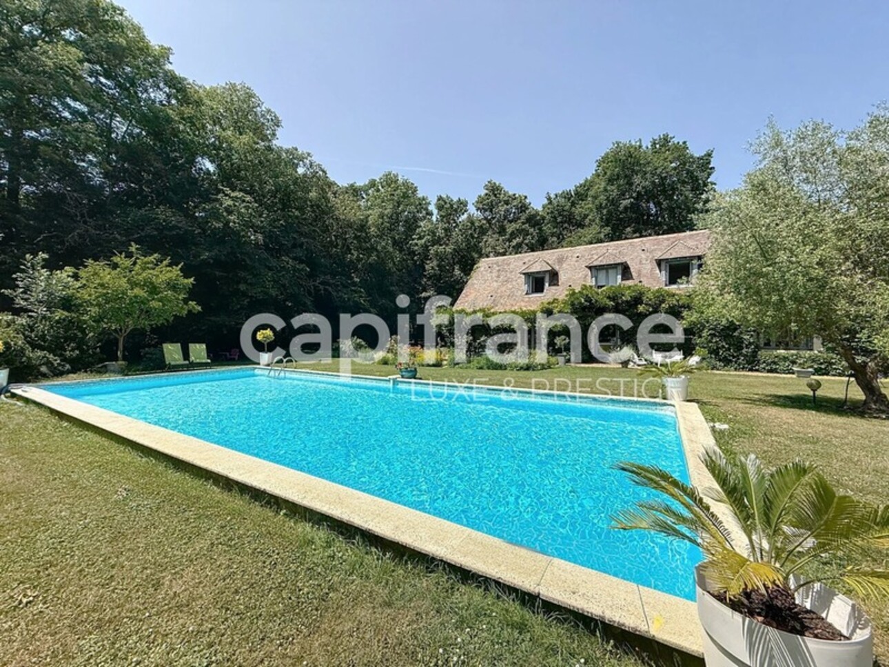 Photos 1 - Prestige - Propriete à SAINT BRANCHS 30 minutes de Tours