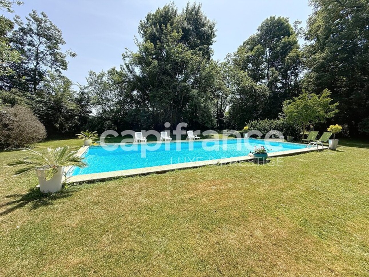 Photos 3 - Prestige - Propriete à SAINT BRANCHS 30 minutes de Tours
