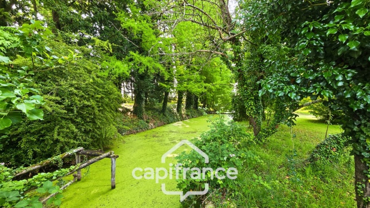 Photos 4 - Prestige - Propriété à vendre de 16 pièces sur 2,8 hectares proche de CHALON SUR SAONE (71)