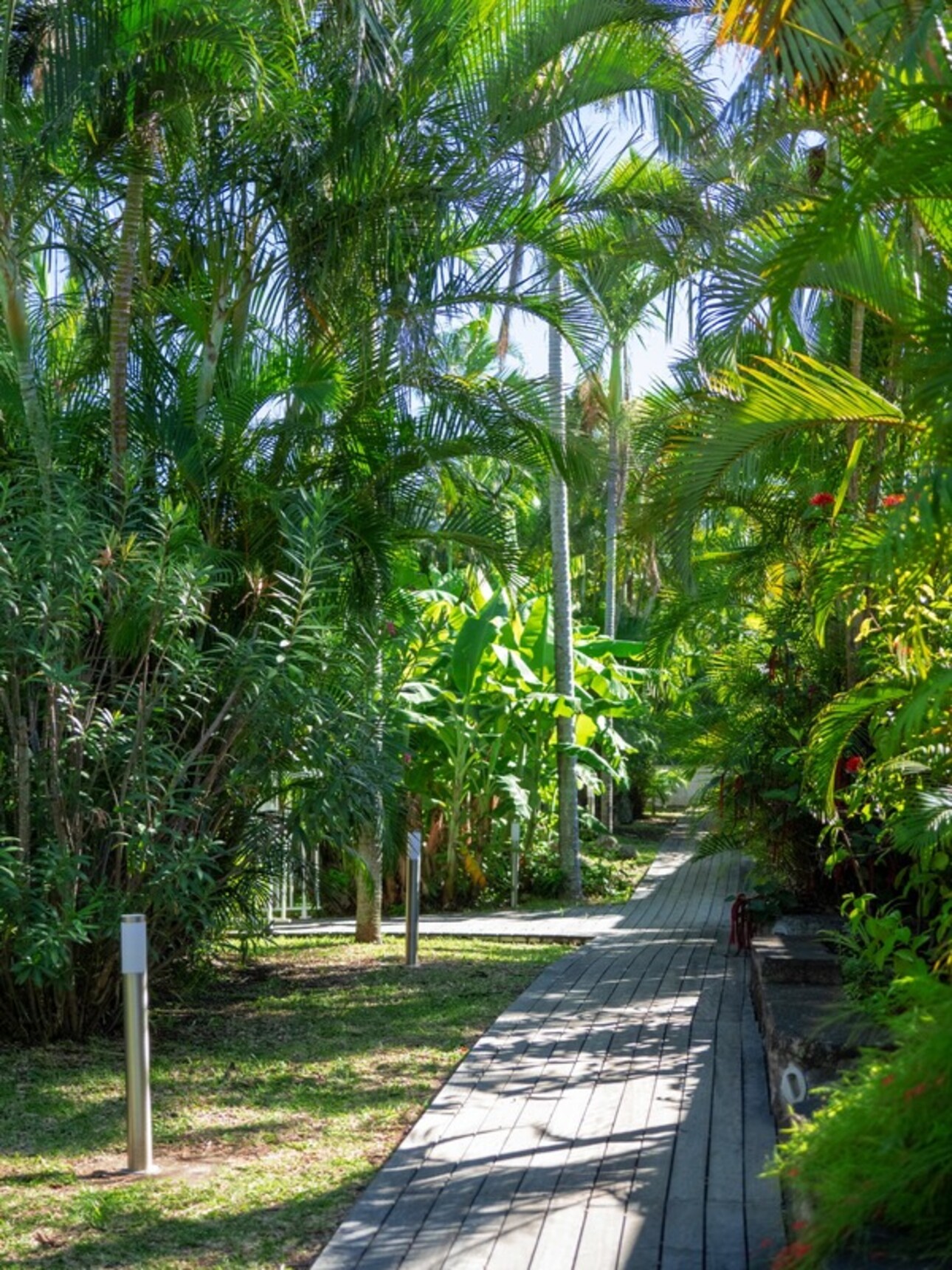 Photos 6 - Prestige - Magnifique propriété avec une villa, un studio et 6 bungalows à vendre LA RIVIERE (974)