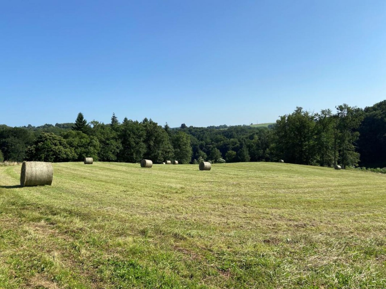 Photos 5 - Foncière - Terrain agricole