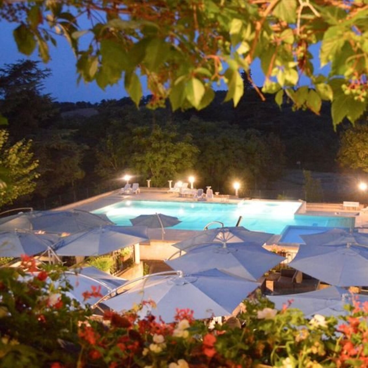 Photos 2 - Prestige - Domaine